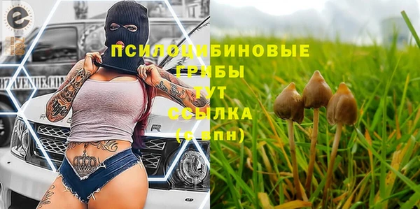 каннабис Майский